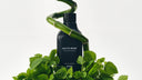 BIOACTIVE CHARCOAL Mouth rinse